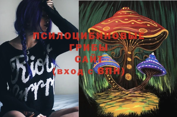 прущий лед Аркадак