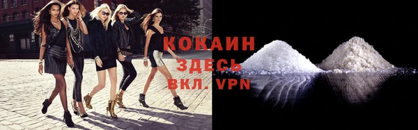 шишки Армянск