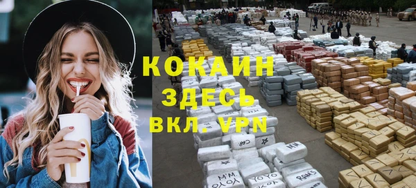 шишки Армянск