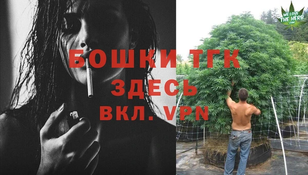 экстази Арсеньев