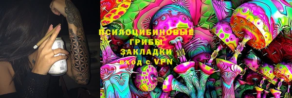 шишки Армянск