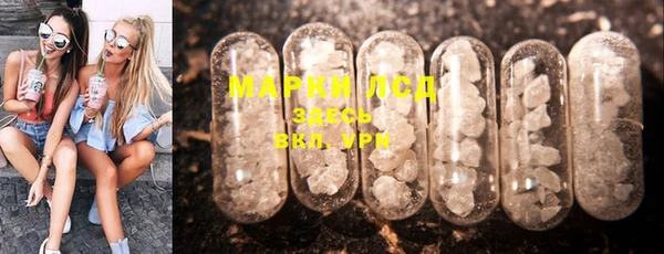 шишки Армянск