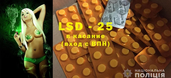 шишки Армянск