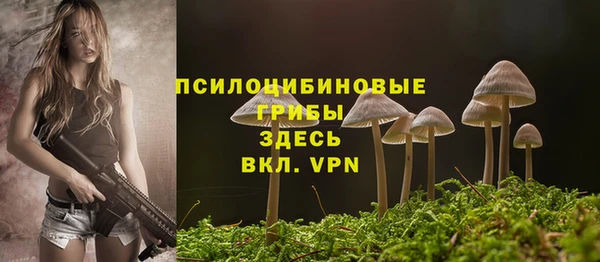 шишки Армянск